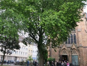 Fotos: THOMAS ZÖLLNER