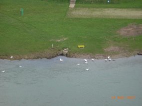 Die 5b auf Klassenfahrt zur Burg Bischofstein