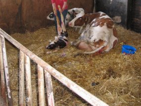 Klassenfahrt der 6a zur Burg Bischofsetin