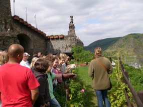 Klassenfahrt der 6a zur Burg Bischofstein