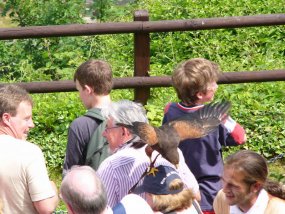 Klassenfahrt der 6c zur Burg Bischofstein