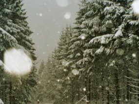 Die Klasse 5a am Fachtag 2003 im Wintersportgebiet